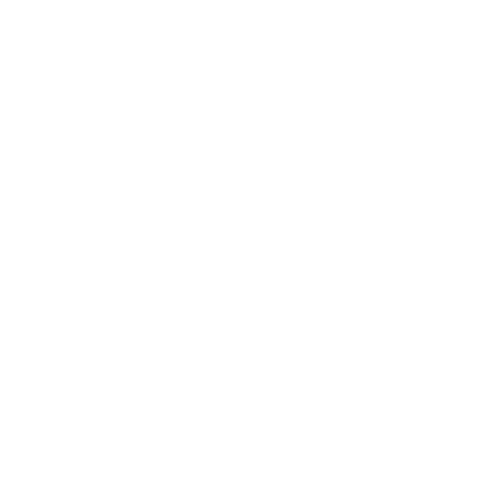 Wiedemann und Berg Film — Kundenreferenz